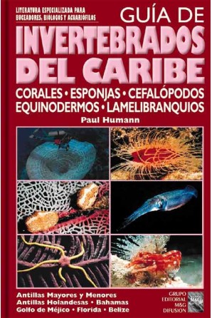 Guía Invertebrados del Caribe